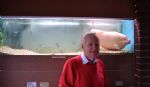 The Saddest Fish In Salford 